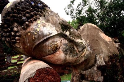 Close-up of statue against trees