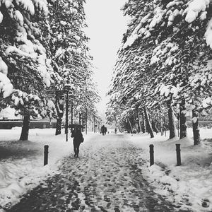 Scenic view of snow covered landscape