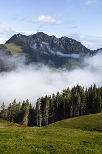 Scenic view of landscape against sky