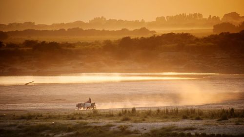 Scenic view of sea against sky during sunset