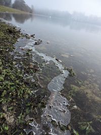 Scenic view of lake