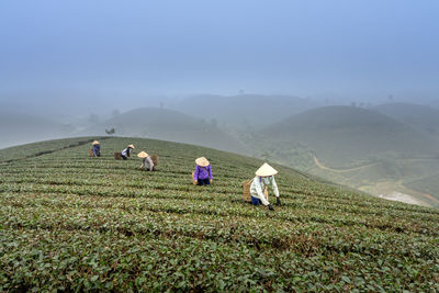 People working on agricultural field against sky