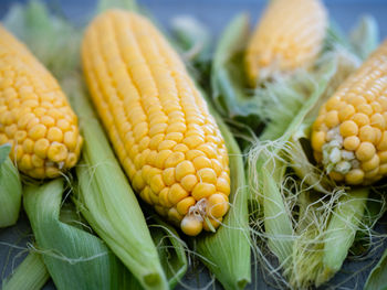 Close-up of fresh corn cobs with green