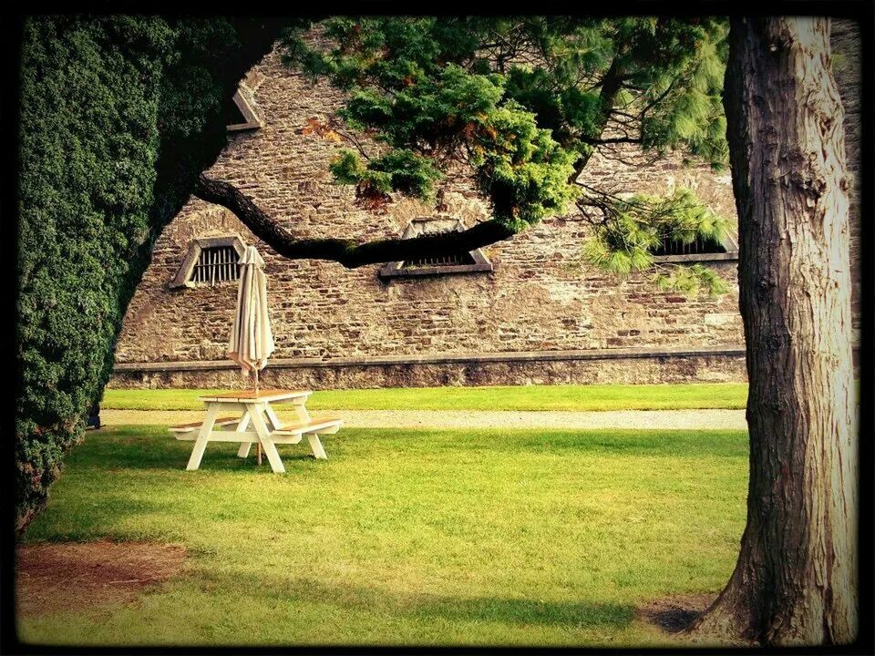 transfer print, grass, tree, growth, green color, auto post production filter, built structure, lawn, nature, plant, tree trunk, tranquility, architecture, bench, park - man made space, field, building exterior, day, front or back yard, chair