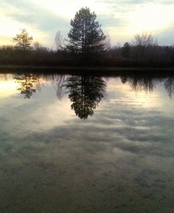 Reflection of trees in lake against sky