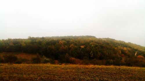Trees on field against clear sky