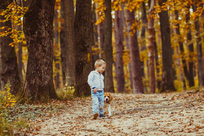 Full length of boy in forest during autumn