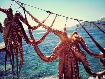 Close-up of fishing net on beach against sky