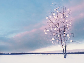 sky