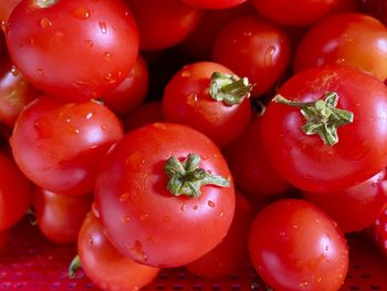 Full frame shot of wet tomatoes