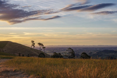 Scenic view of field against sky during sunset