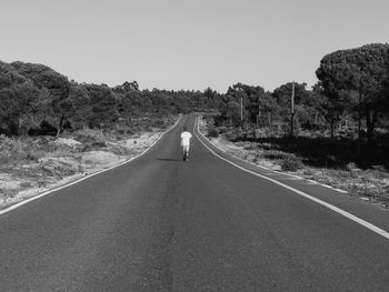 Road amidst trees against clear sky