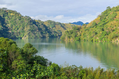 Scenic view of lake by trees against sky