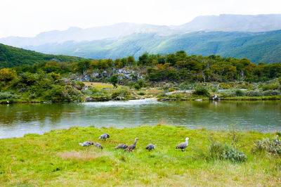 Scenic view of lake and mountains