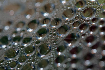 Full frame shot of bubbles