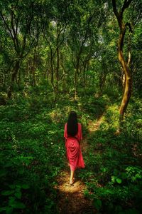Rear view of woman walking in forest