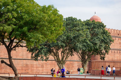 View of trees outside building