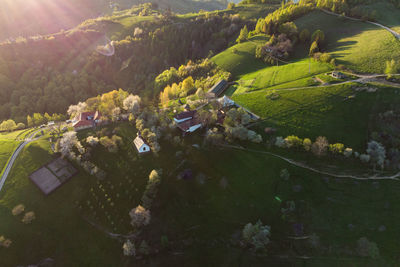 High angle view of houses amidst trees and plants