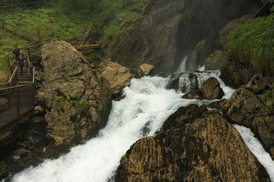 High angle view of waterfall in forest