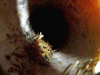 Close-up of weathered wall