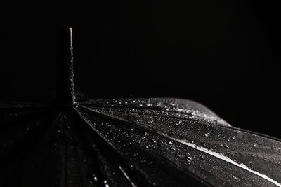 Close-up of water drops on metal against black background