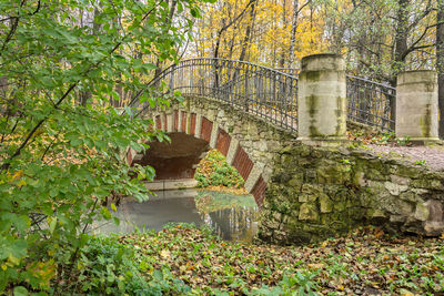 View of trees in autumn