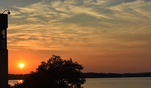 Silhouette tree by sea against romantic sky at sunset