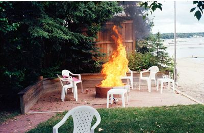 Chairs and table against trees