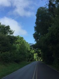 Empty road along trees