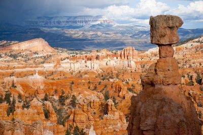 Close-up of landscape against sky