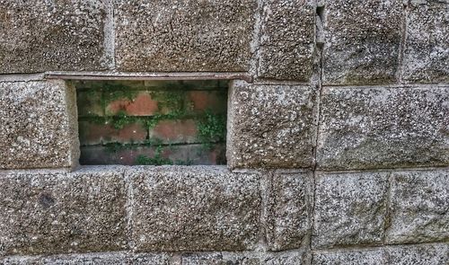 Close-up of water on wall