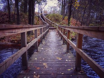 Footbridge over lake in forest