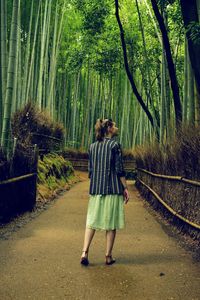 Rear view of woman walking in bamboo grove