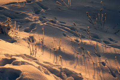 High angle view of snow covered land