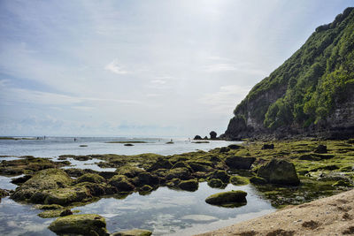 Scenic view of shore and sea against cloudy sky