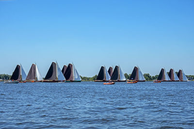 Traditional frisian wooden sailing ships in a yearly competition