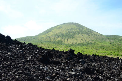 Landscape with mountain range in the background