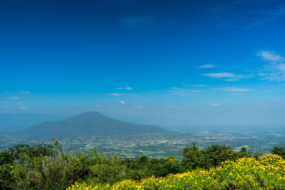 Scenic view of landscape against blue sky