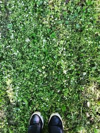 Low section of man standing by plants