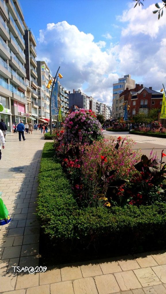 built structure, architecture, building exterior, city, nature, plant, building, footpath, flower, flowering plant, sky, incidental people, day, street, sunlight, cloud - sky, outdoors, growth, real people, sidewalk, location