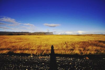 Scenic view of field against blue sky