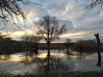 Silhouette bare tree by lake against sky during sunset