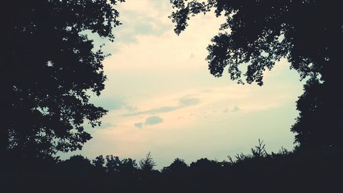 Low angle view of silhouette trees against sky