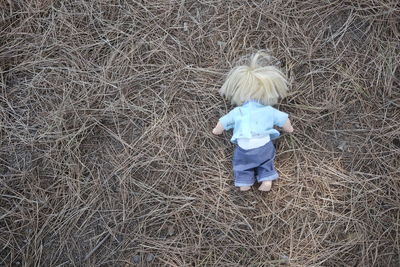 High angle view of doll on grassy field