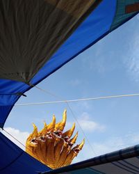 Low angle view of fish hanging against blue sky