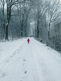 Bare trees along snow covered landscape