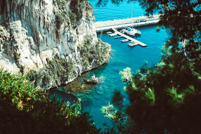 High angle view of trees in water