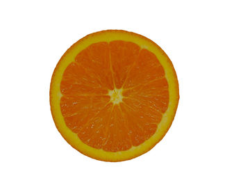 Close-up of orange slice against white background