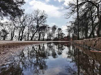 Reflection of trees in lake against sky