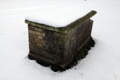 Close-up of lizard on snow